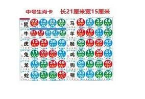 生肖波色属相（今日生肖波色对照表怎么看旺运色系）