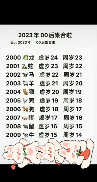 04属什么生肖属相(2004年出生属什么生肖?新手一看就懂!)