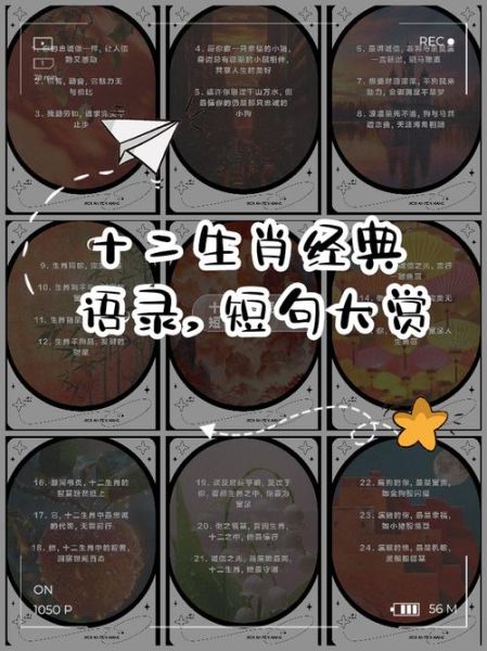 生肖属相造句（生肖属相造句示例）