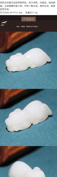 生肖狗佩戴属相（生肖狗佩戴什么属相最好最招财）