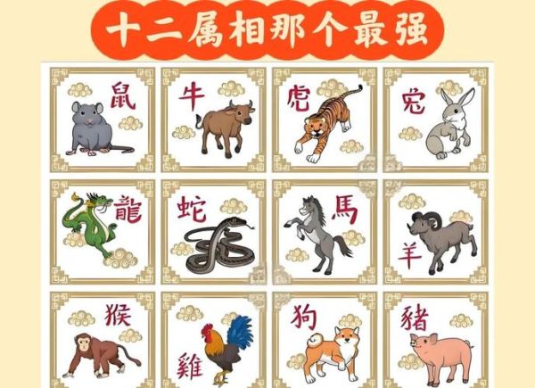 十二生肖谁属相大力