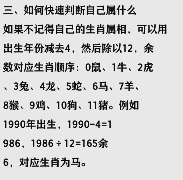 生肖-属相（2025年属兔子的人几岁了）