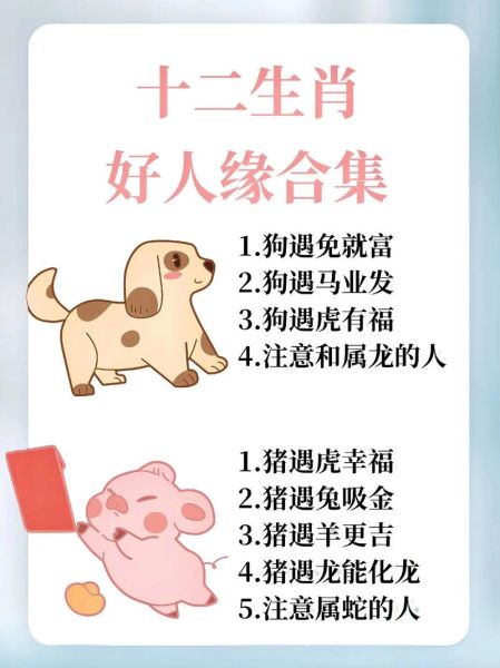 66年生属什么生肖属相（66年生人是什么生肖属马详解🐎）