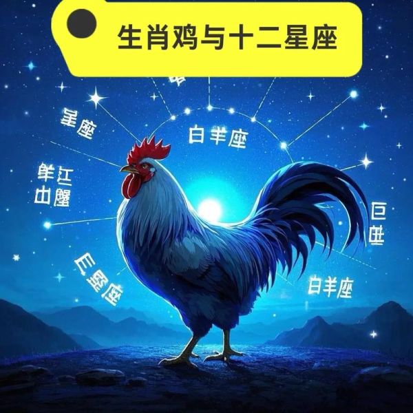 属相鸡后面是什么生肖（属相鸡后面是什么生肖答案）