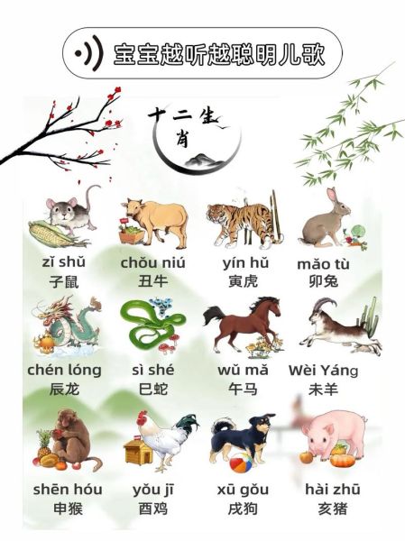 十二生肖排序属相是什么