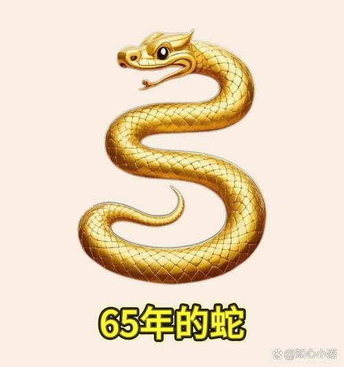6几年属蛇生肖属相（1965年属蛇生肖属相）