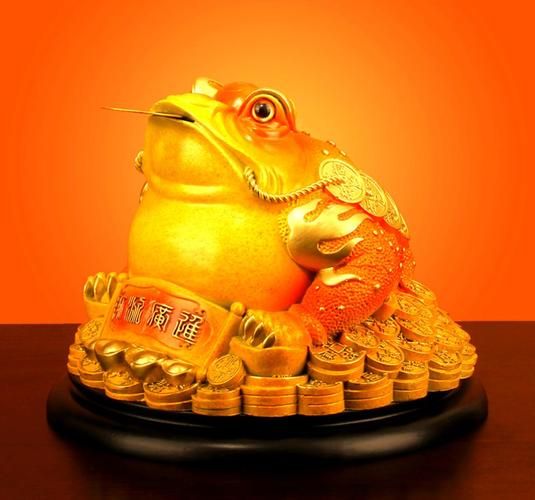 带水的生肖属相（带水的生肖属相是谁）