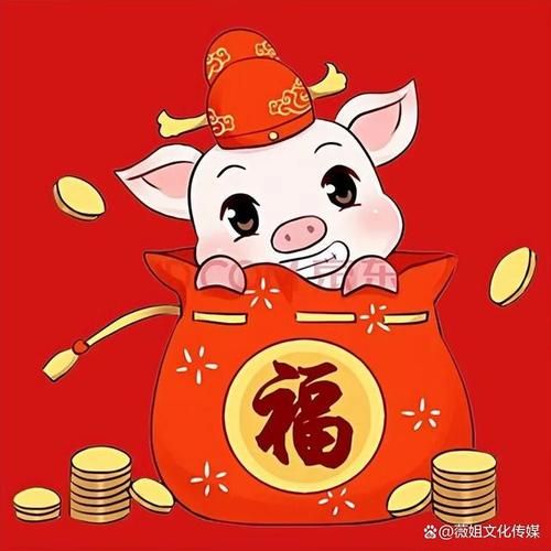 生肖猪财运最佳属相女