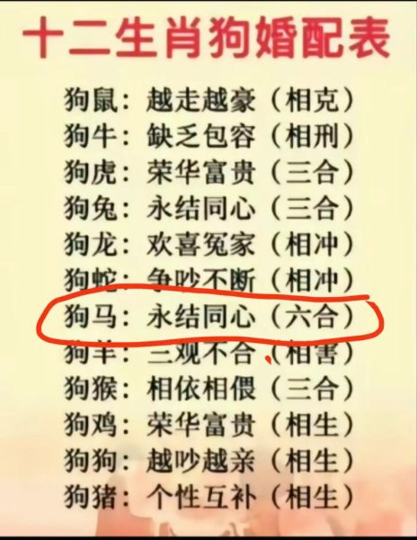 生肖狗的配偶属相（生肖狗的配偶属相谁最合？）
