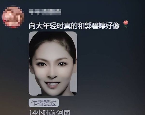 向太属相是什么生肖（向太是什么生肖出生年份）