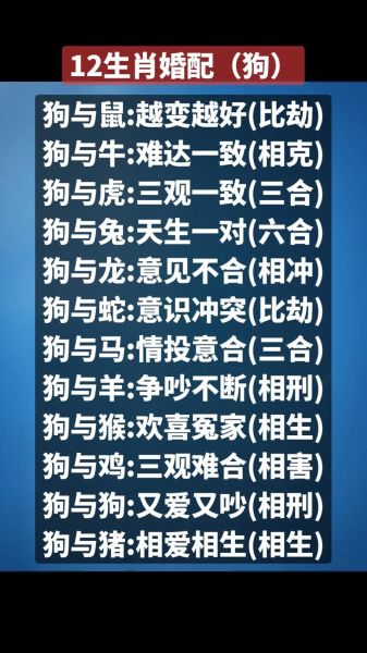 属相狗的生肖喜忌（属相狗的生肖喜忌颜色与注意事项）