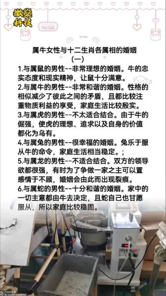 属牛最佳结合生肖属相（属牛和什么生肖最配婚）