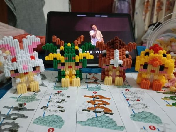 十二生肖属相积木（十二生肖属相积木怎么选？新手避坑指南）