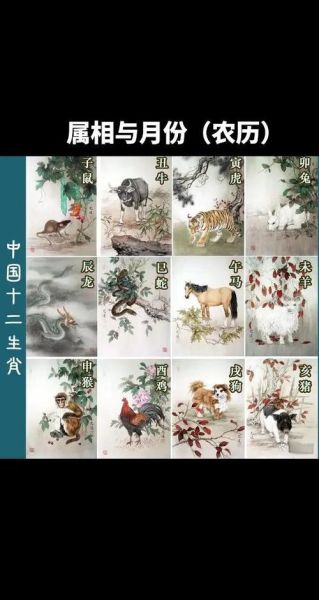 属相生肖月（属相生肖月份对照表查询速览）