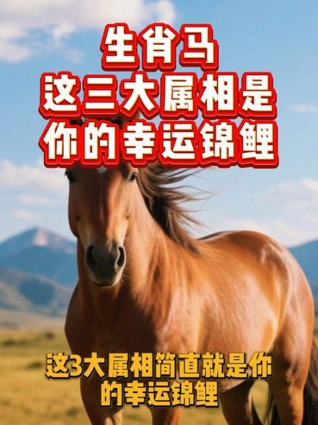 生肖马幸运属相（生肖马最合的三大幸运属相是什么）