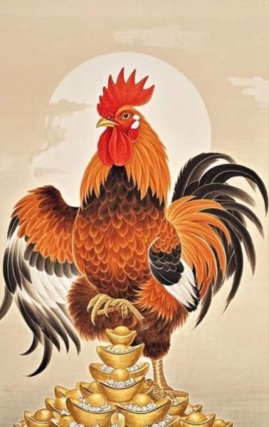 属相鸡是什么生肖（属鸡生肖是什么命？）