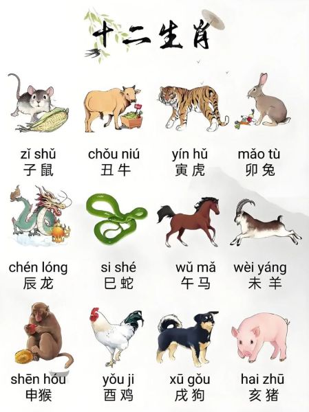 大小s的生肖属相（大小S分别属什么生肖🐀🐂？）