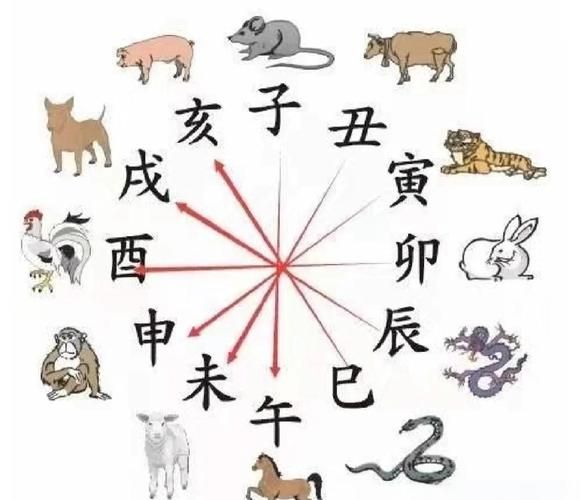 属相虎冲什么生肖(属相虎冲什么生肖,小白一看就懂)