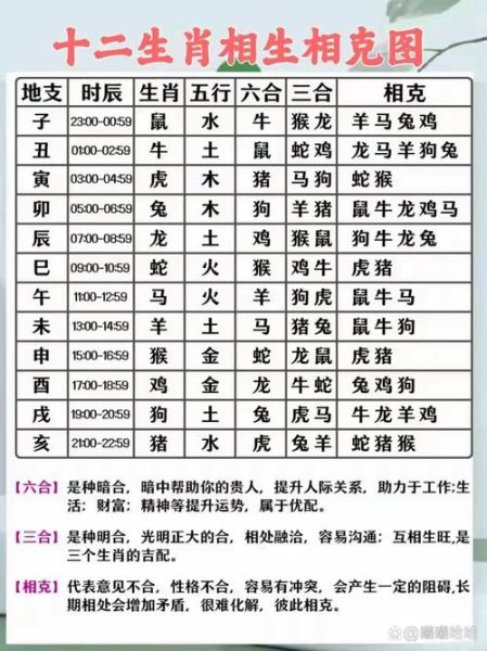 属猪的属相克什么生肖(属猪相克生肖揭秘)