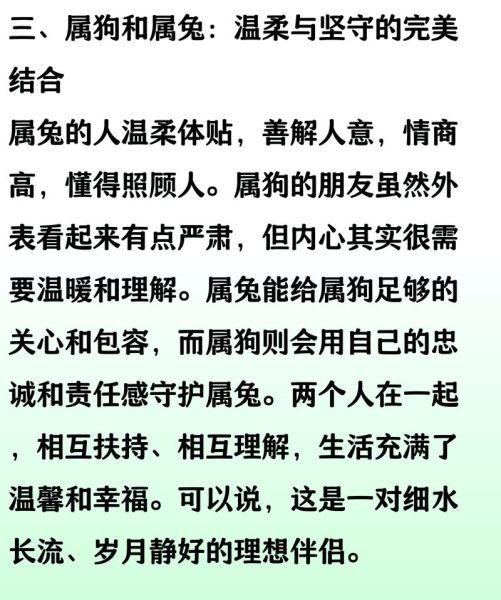 属狗生肖最佳配偶属相（属狗最佳配偶属相）