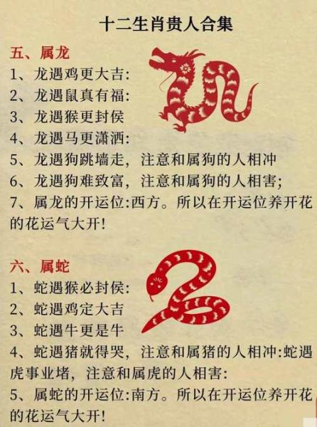 同生肖同属相的人（同生肖的人命运真的相同吗）