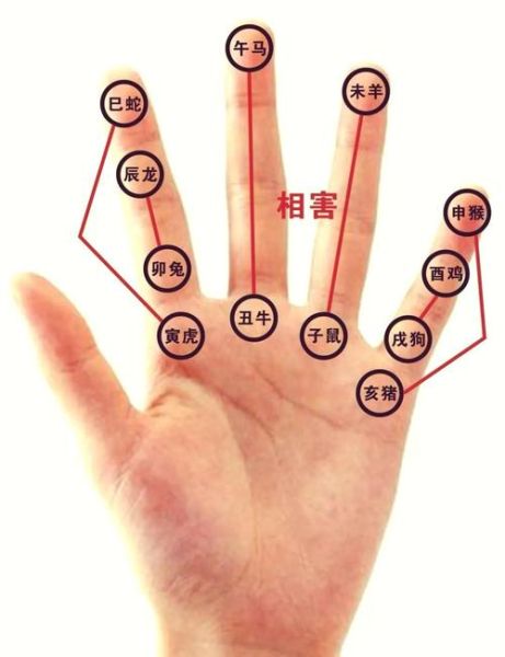 生肖属相掌诀图（生肖属相掌诀图怎么看？新手图解教学来了）