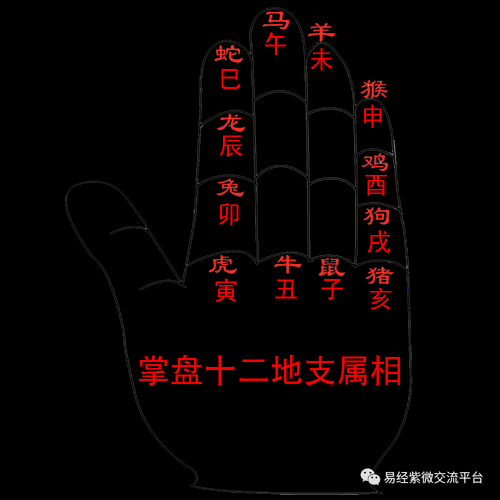 生肖属相掌诀图（生肖属相掌诀图怎么看？新手图解教学来了）