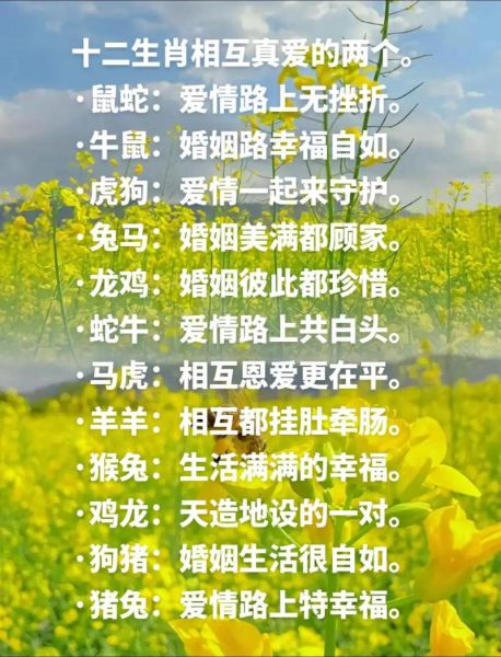 生肖属相姻缘大全（属鼠和什么属相最配婚姻最好）