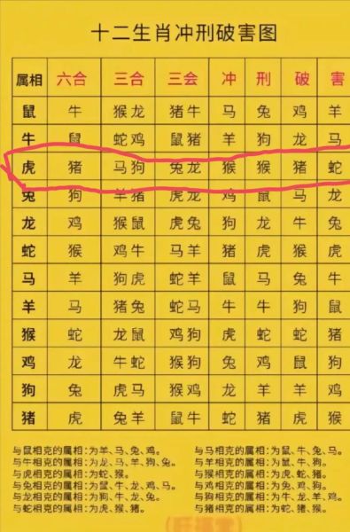 白云生肖属相是什么生肖（白云是什么生肖？一篇看懂属相逻辑）