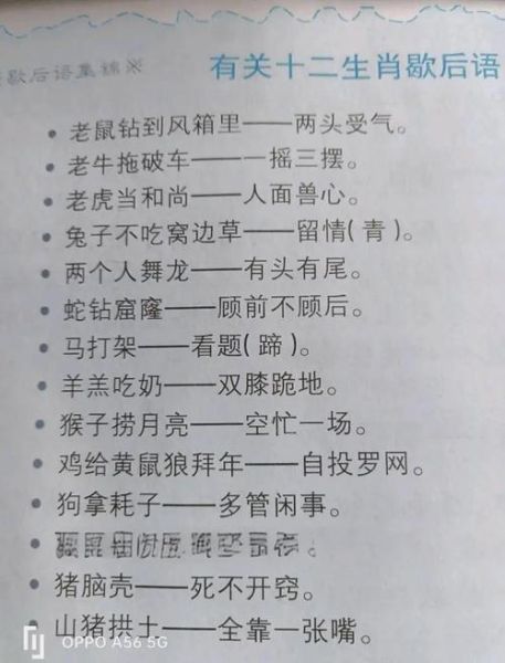 十二生肖属相谚语（最全十二生肖属相谚语及含义🐭）