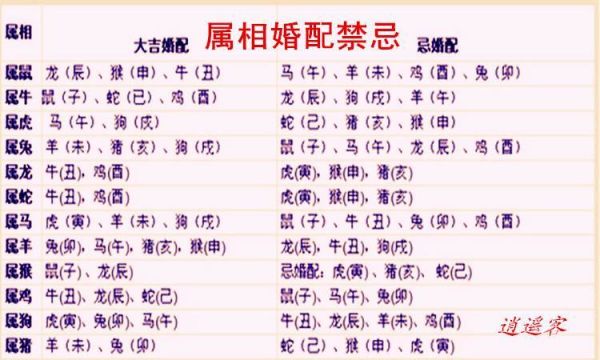 十二生肖兔男人婚配属相（属兔男最佳婚配属相排行榜）