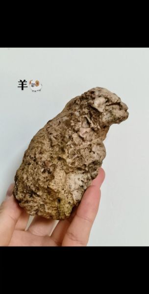 戈壁石生肖属相雕刻(戈壁石生肖属相怎么选?新手避坑指南)