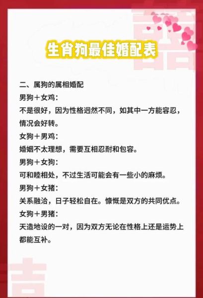 属狗女孩婚配生肖属相（属狗女孩和什么属相最配婚）