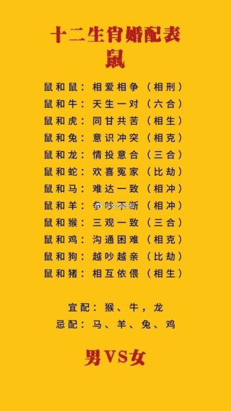 十二生肖中鼠的婚配属相（鼠和哪个属相最配婚最好）