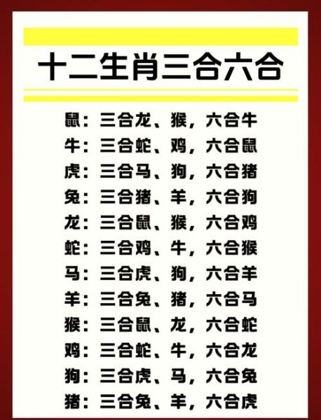 属相相合的生肖配对（属相相合的生肖配对查询表🔍）