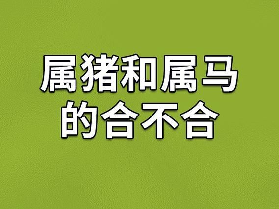 猪女马妈妈生肖属相（猪女生属马妈妈合不合？属相合不合全解析）