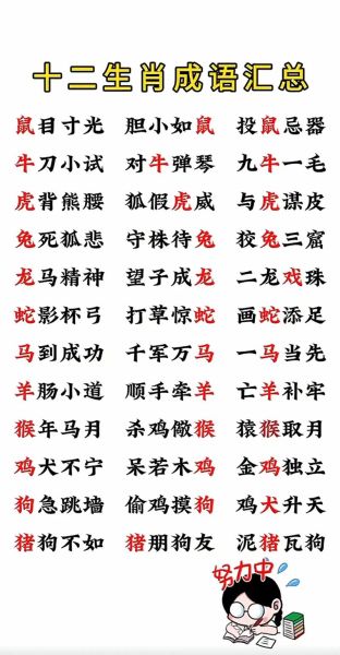 十二生肖属相成语（十二生肖属相成语最全合集）