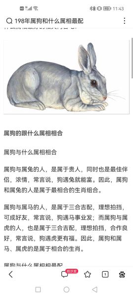 属相狗与十二生肖（属狗和十二生肖最佳搭配生肖是什么）