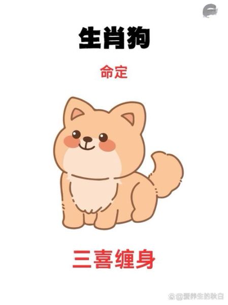 属相狗是什么生肖（属相狗是什么年份出生⚡）