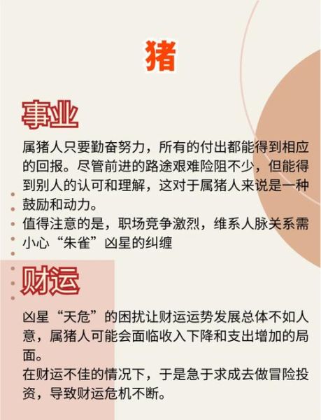 2007的生肖属相（2007年出生属什么生肖？🐖新手一看就懂）
