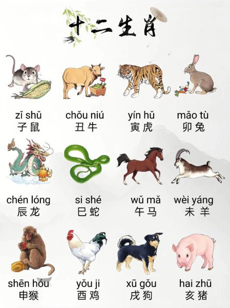 世界公认生肖属相（世界公认的12生肖是哪12种动物？）