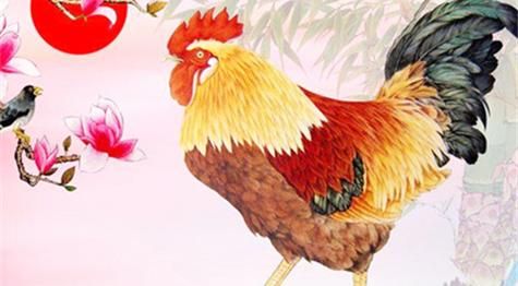 1993的生肖属相(1993年属什么生肖?小白必看😉)