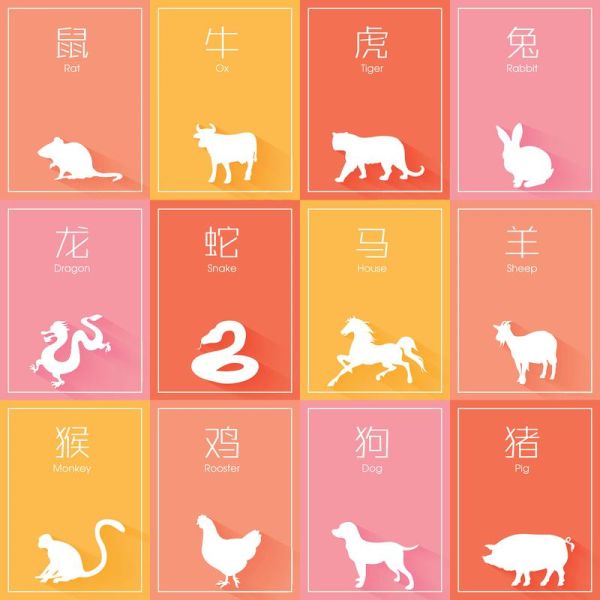 癸属什么生肖属相（癸属什么生肖属相新手一看就懂🐭）