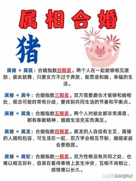 猪属相什么生肖（属猪的和什么属相最合？）