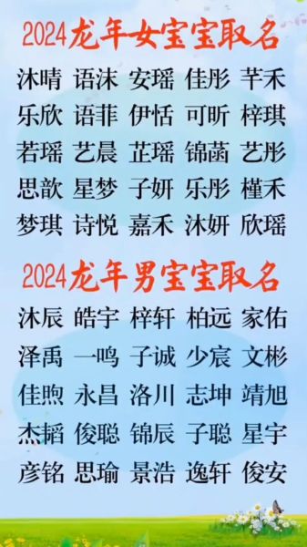 生肖属相宝宝名字（2024龙宝宝吉祥小名怎么起？）