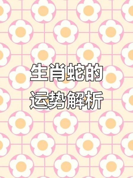 七七属什么生肖属相(七七属什么生肖一看就懂)