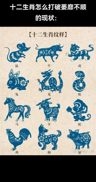 初九属相是什么生肖(初九属相是什么生肖🐭🧧)