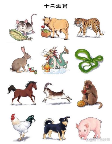 初九属相是什么生肖(初九属相是什么生肖🐭🧧)