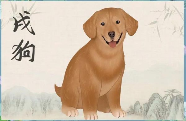 最感恩属相生肖（最懂得感恩的生肖排行揭秘）