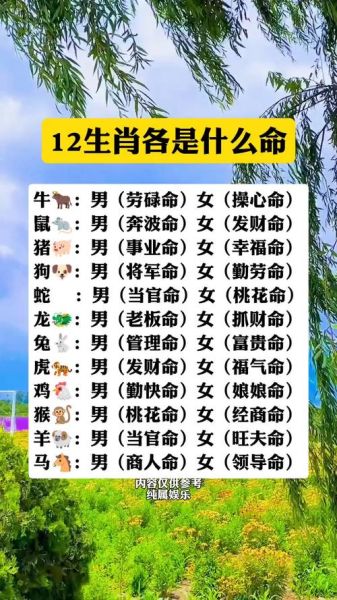 属相哪种生肖命最好（属相哪种生肖命最好？新手最关心的问题）